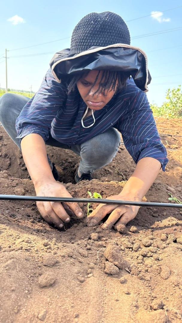 Sustainable Agriculture Initiative - Image 6